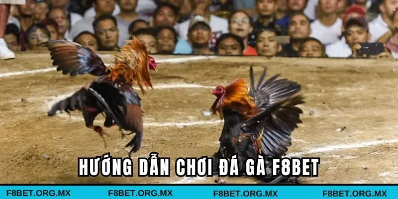 Hướng dẫn cá cược game hiệu quả tại nhà cái