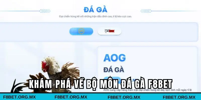 Khám phá về bộ môn đá gà F8bet cực hot
