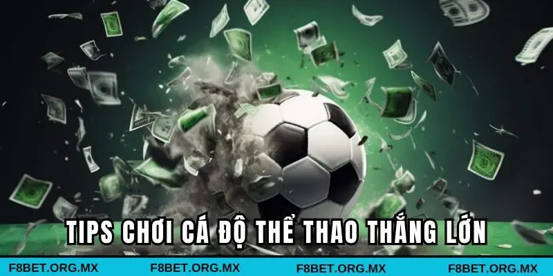 Tips chơi cá độ thể thao thắng lớn