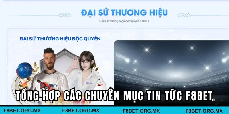Tổng hợp các thông tin tại chuyên mục