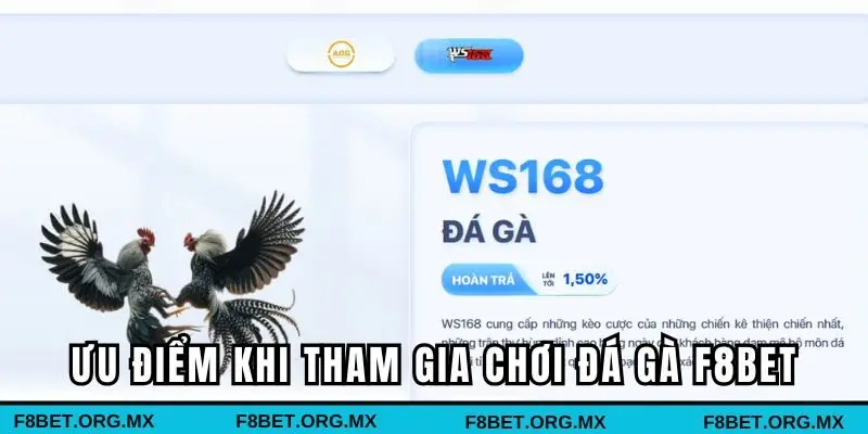 Lợi thế khi tham gia cá cược thú vị